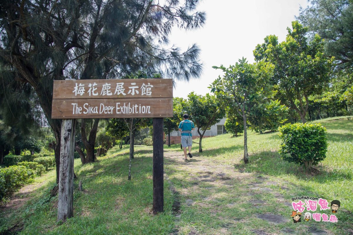 【屏東旅遊景點】瓊麻工業歷史展示館 - 南台灣免費私密景點！鳥居超好拍，還有多個網美點可以拍好拍滿
