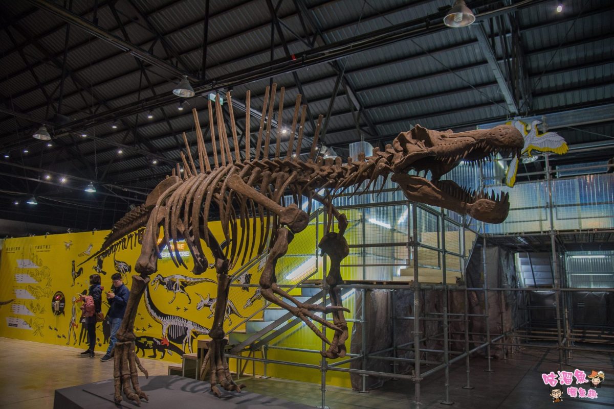 【高雄駁二展覽推薦】#DINOLAB 恐龍實驗室 - 史上最強恐龍展強勢回歸！生動探險進入恐龍世界