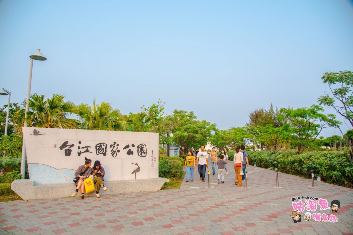 【台南旅遊景點】超唯美水上白色城堡，台南熱門打卡點，休閒散步好去處：台江國家公園遊客中心