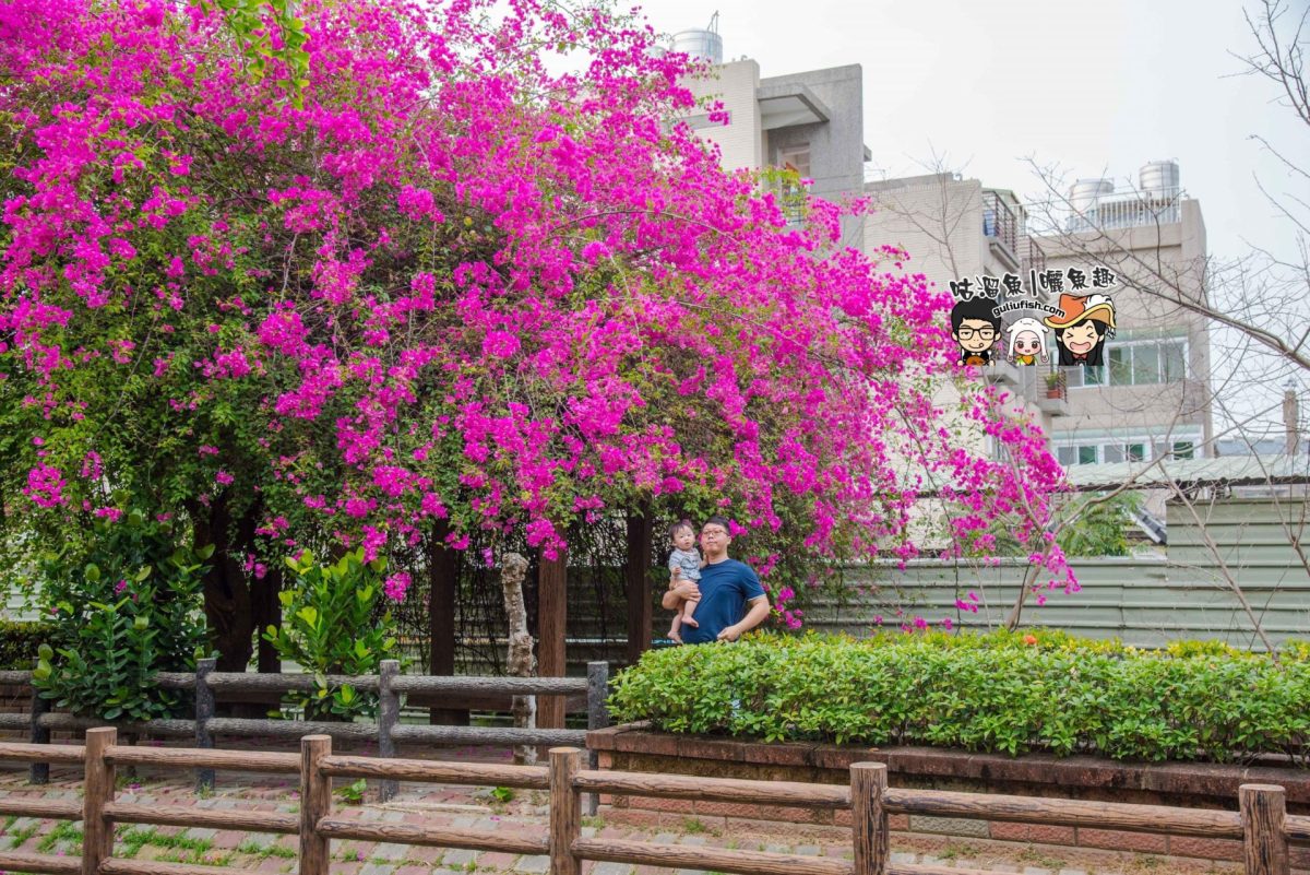 【台南旅遊景點】網美拍照打卡點！綠堤邊如詩如畫的九重葛紅花亭：新化南圳綠堤堤岸公園