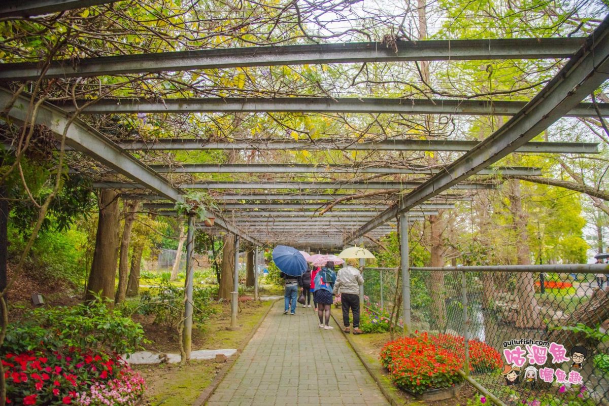 苗栗旅遊景點》秘境花園免費參觀！森林系日式庭院一秒到京都，中國風涼亭一秒到蘇杭：品園 美麗的好花園
