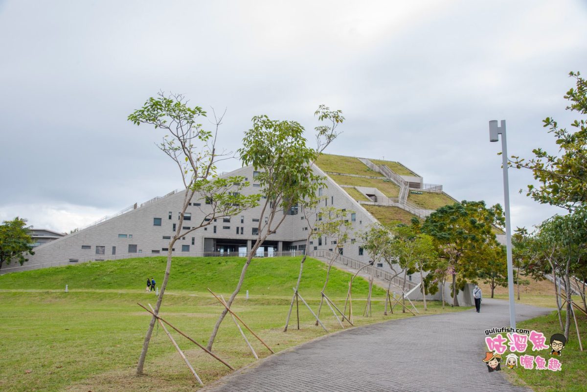 台東旅遊景點》世界8大獨特圖書館之一，藝術綠化知識金字塔，超美山景、湖景：國立臺東大學
