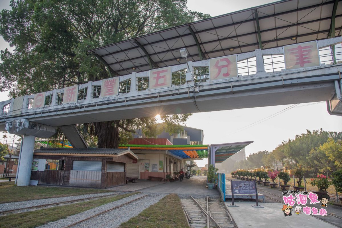 台南旅遊景點》新景點！輕鬆遛小孩地方推薦，網美拍照打卡新點，另還適合騎自行車/休閒散步運動：新營鐵道文化園區