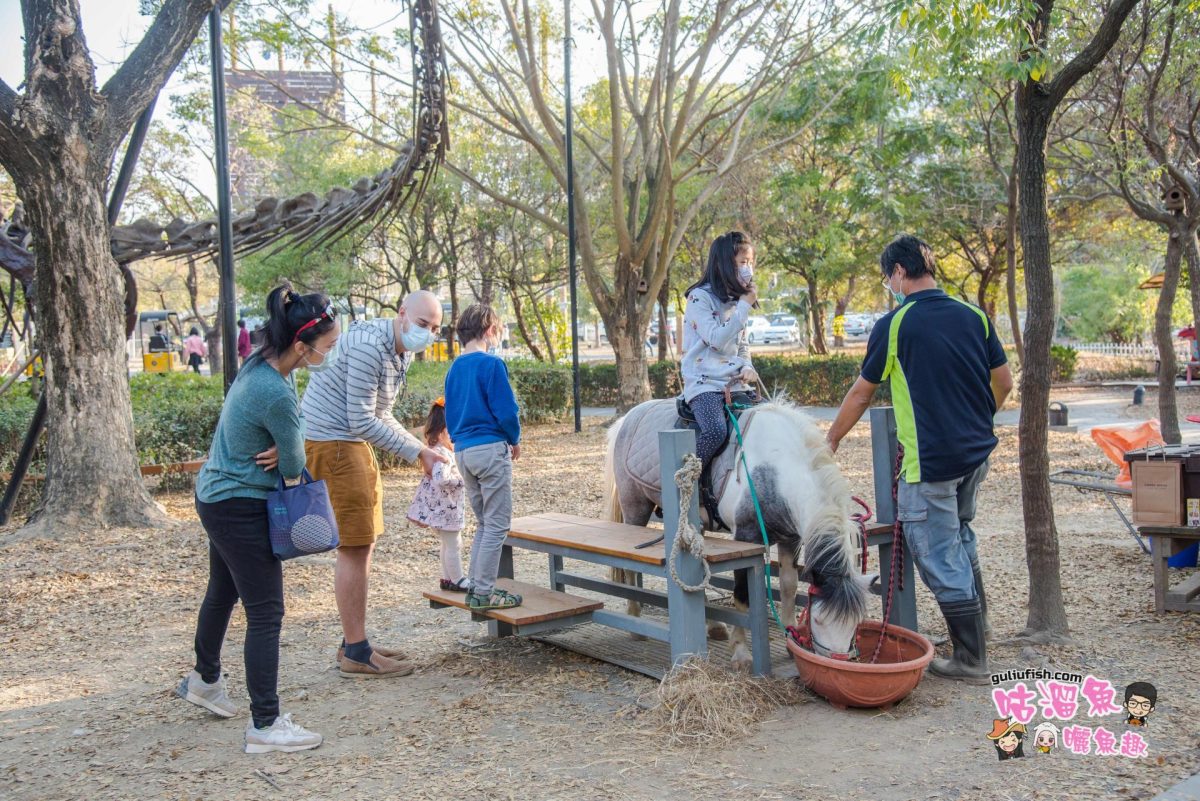 台南旅遊景點》親子同遊好好玩，不容錯過的好地方！近距離接觸餵多種可愛動物/騎馬/多設施遊樂：樹谷農場