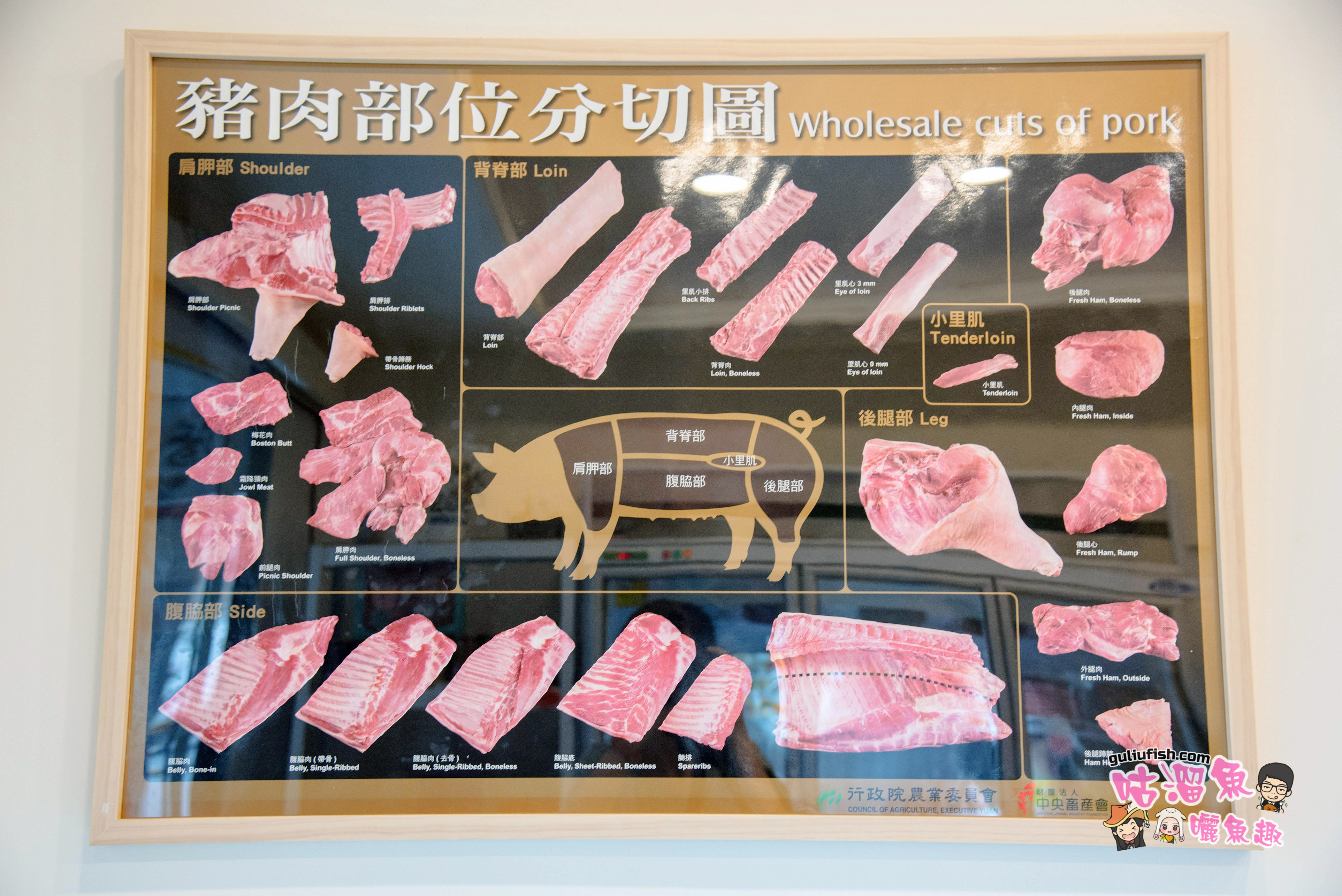 高雄鮮切肉品推薦》御味軒活菌豬：好菌養的好豬，肉質新鮮且健康無肉腥味，在家做飯平價高享受