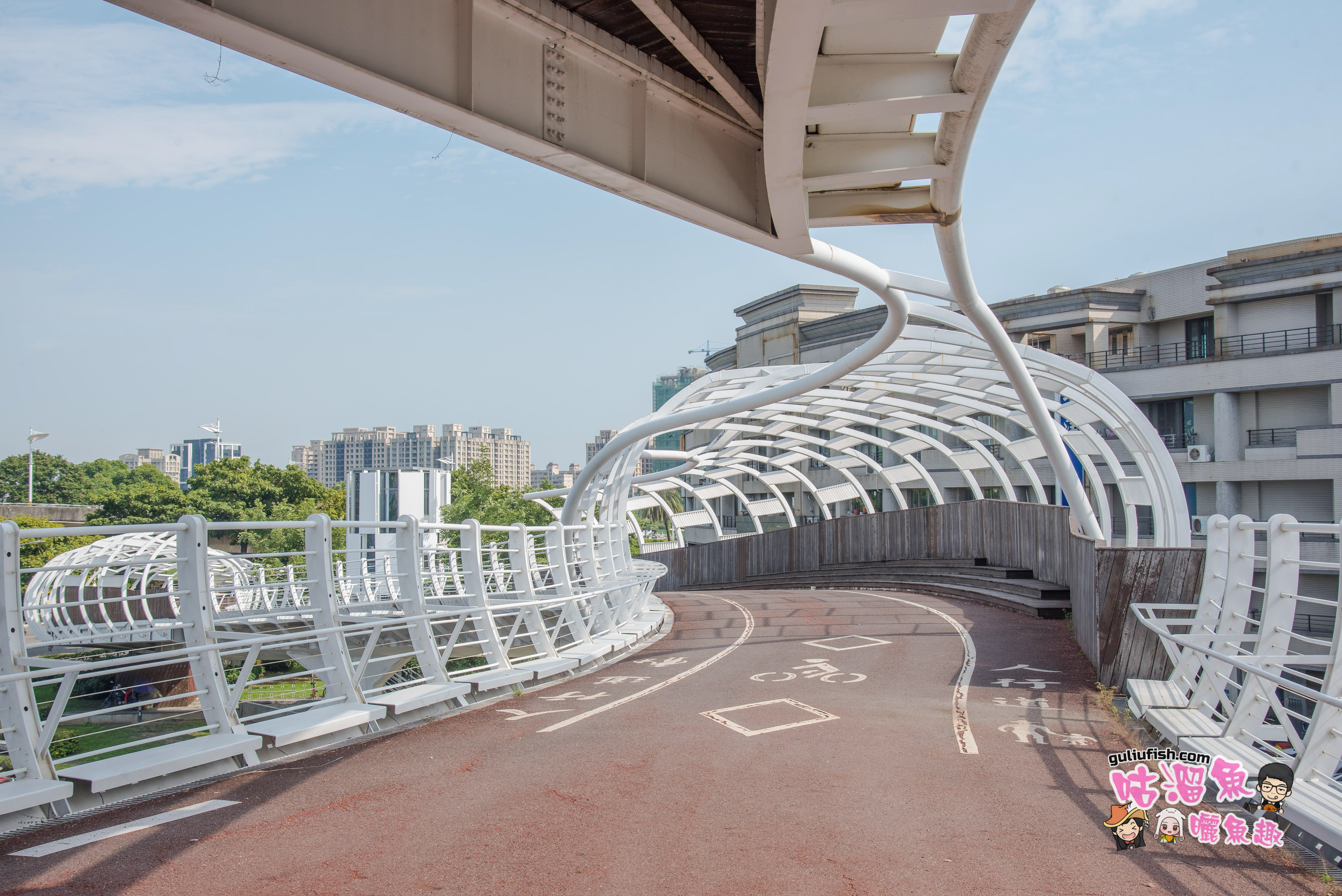 高雄景點》前鎮之星：跨輕軌最美自行車人行天橋，不僅好拍還有美麗城市景緻 可以觀賞