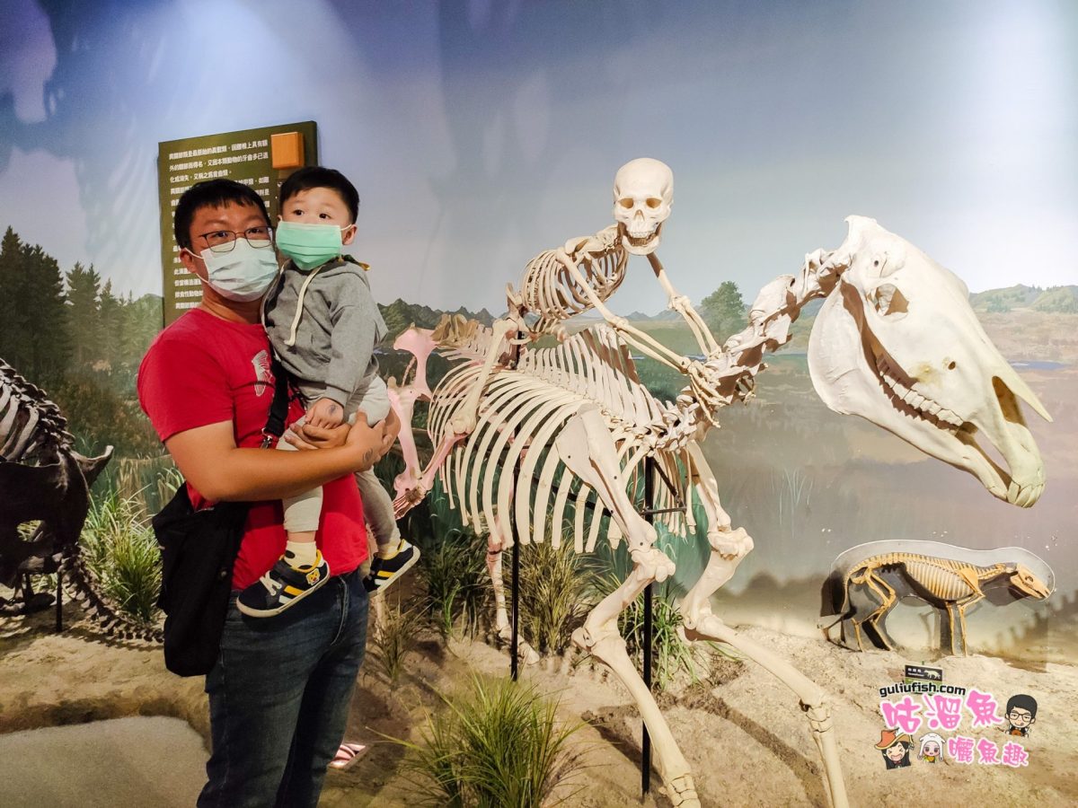 台南景點》樹谷生活科學館 親子一日遊，巨大恐龍震撼環繞，恐龍化石考古小探險！