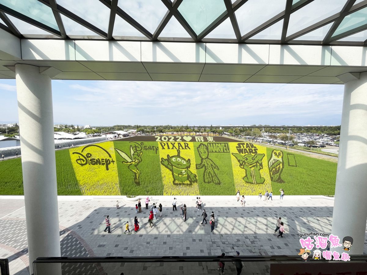 屏東景點》2022 屏東熱帶農業博覽會，迪士尼系列卡通彩繪稻田超好拍！