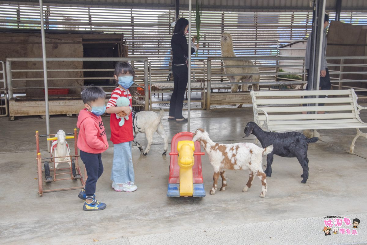台南親子景點》八老爺車站 乳牛的家：餵小動物、玩童玩、搭五分車，還有懷舊復古場景好好拍