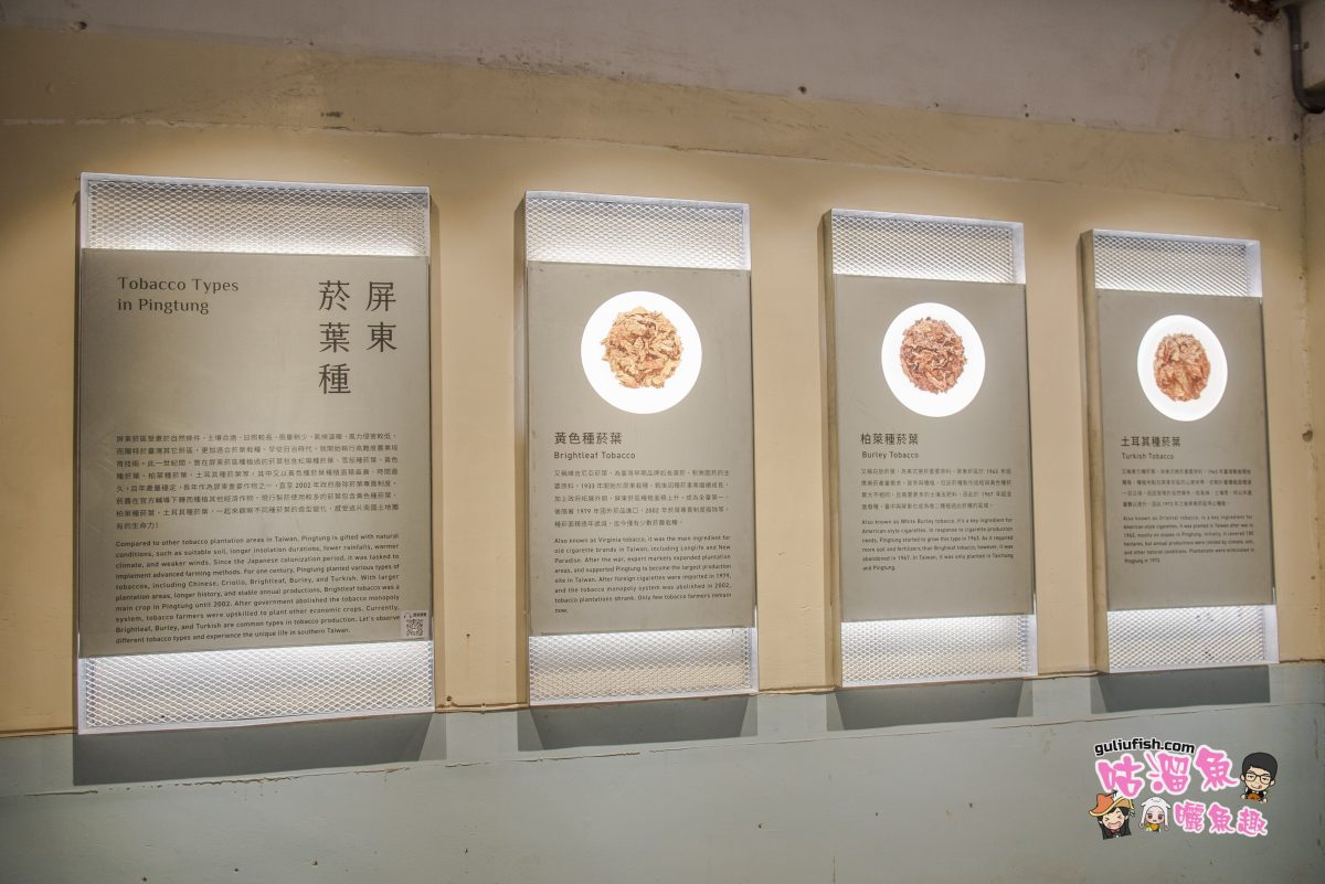 屏東景點》屏菸1936文化基地 (屏東菸葉廠) 台灣首座沉浸式博物館群