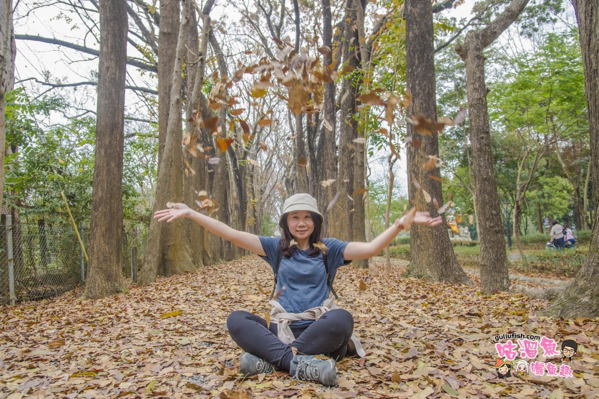 高雄景點》新威森林公園：超美桃花心木落葉地毯，詩情畫意森林秘境尋找小夢幻