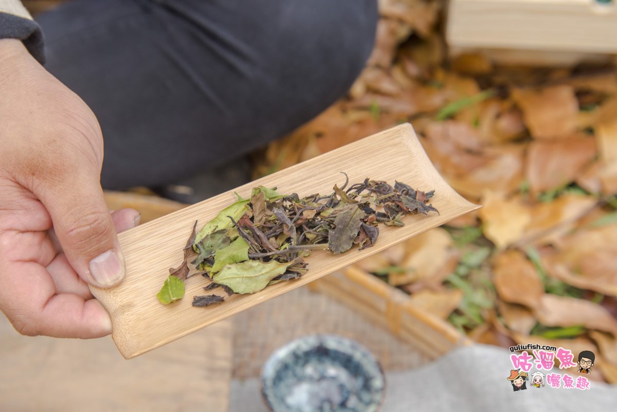 不一樣的文化之旅！「原。森。茶席」體驗山林裡原生茶文化，趣味DIY及部落茶席活動分享