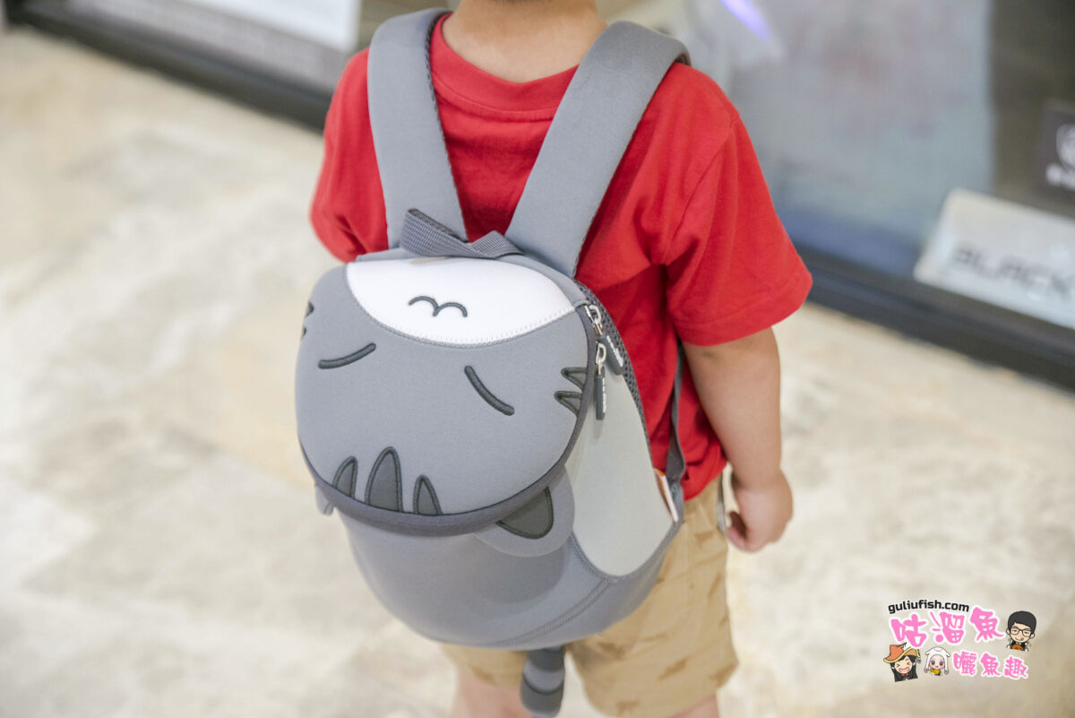 孩童背包》ha熊購 NOHOO諾狐 趴趴系列幼童背包，多功能設計款的可愛背包，防走失/防潑水/透氣性佳