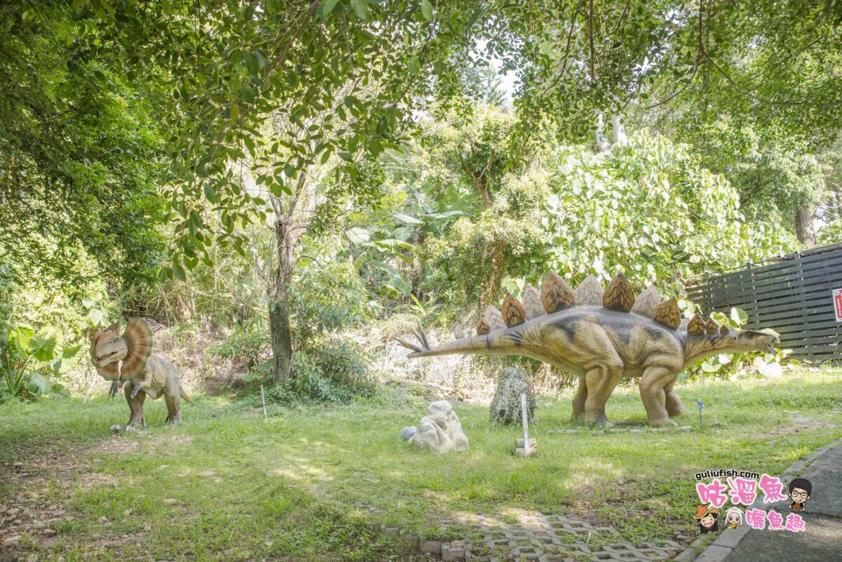 彰化景點》百果山探索樂園 台版侏羅紀主題園區，多項設施遊樂設施一票玩到底