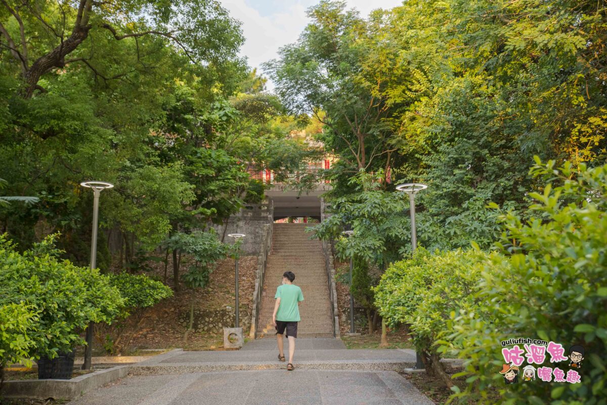 彰化景點》員林神社遺跡 網美必拍的鳥居意境打卡，還能遠眺市景的隱藏版景點