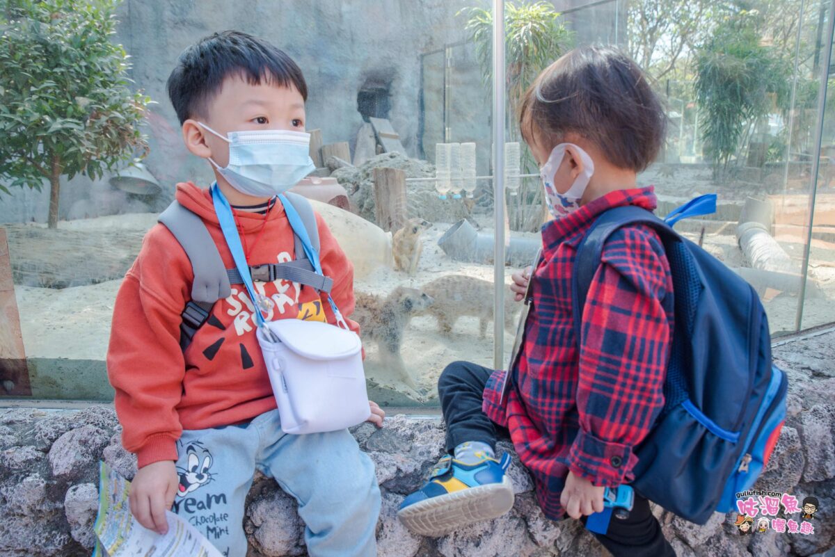高雄景點》帶小孩打發時間的親子景點推薦！壽山動物園看動物/搭小火車/餵小羊/戲水池/空中廊道等