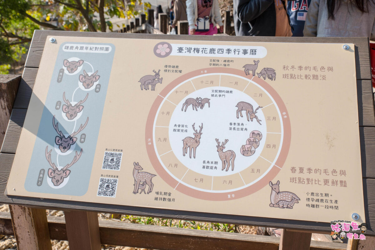 高雄景點》帶小孩打發時間的親子景點推薦！壽山動物園看動物/搭小火車/餵小羊/戲水池/空中廊道等