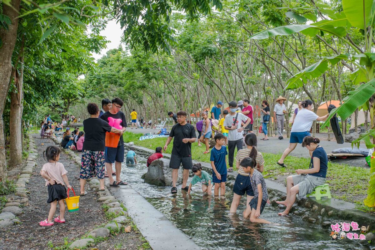 屏東親子景點》林後四林平地森林園區 免費玩水戲水地方推薦！適合親子的天然野溪、森林步道