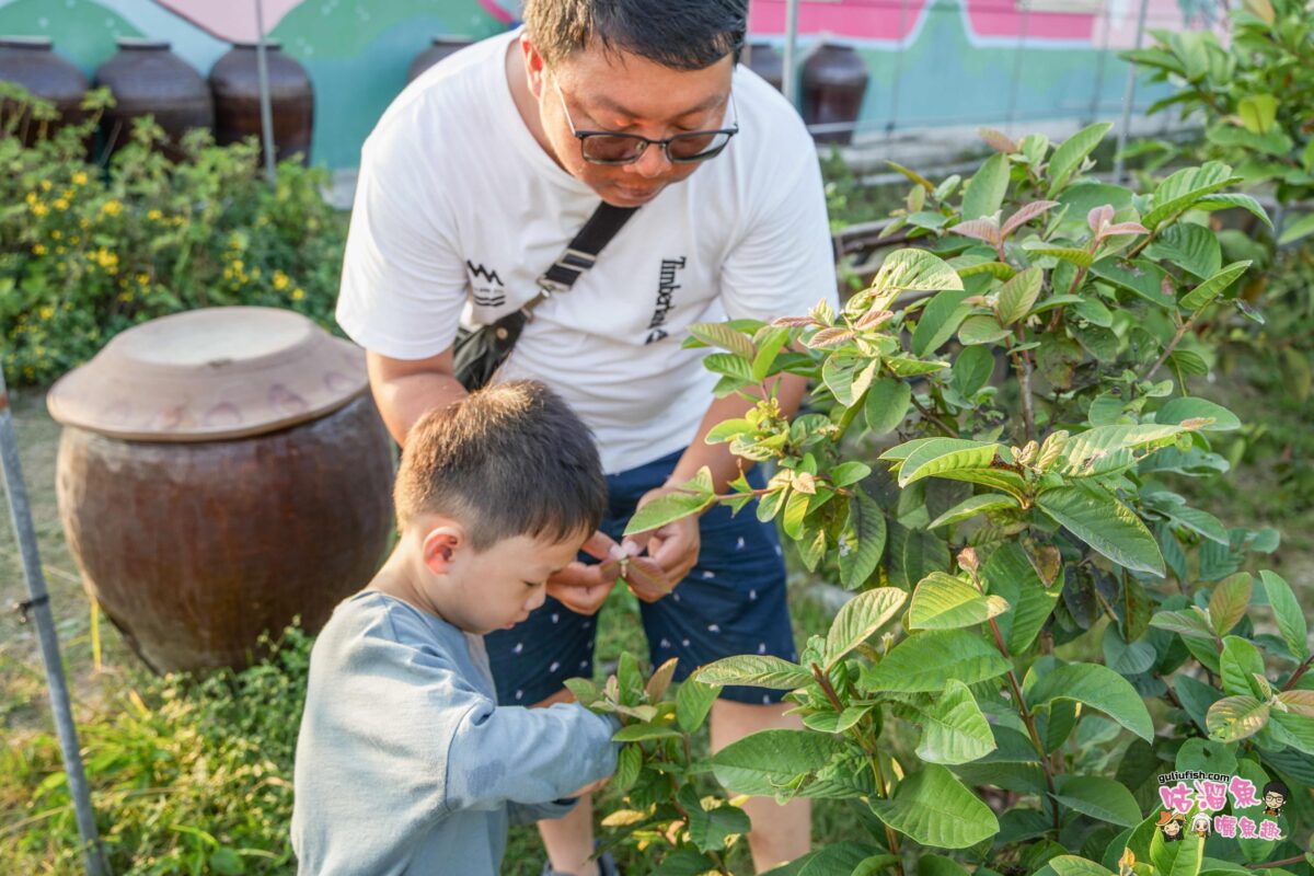高雄體驗景點》Dora天然果舖(多樂時光農場) | 適合親子的食農教育體驗，結合天然果物創造更多樂趣