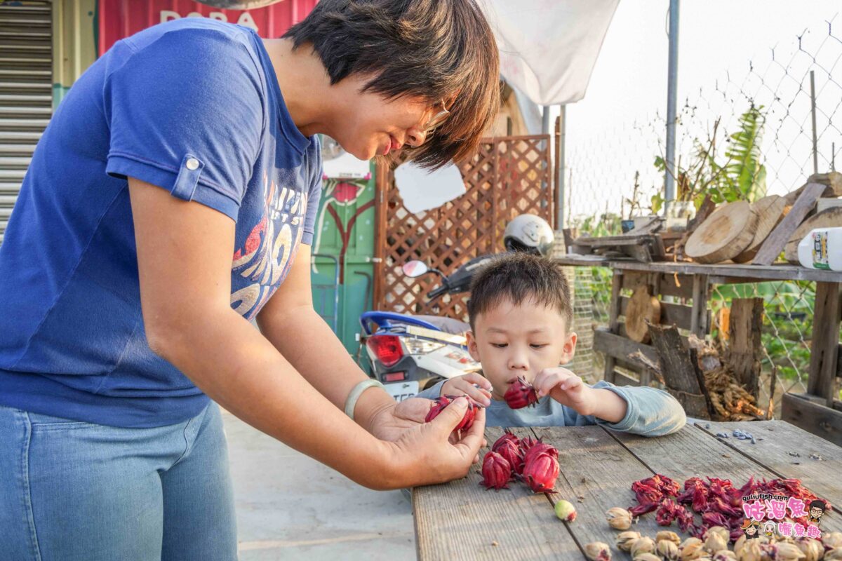 高雄體驗景點》Dora天然果舖(多樂時光農場) | 適合親子的食農教育體驗，結合天然果物創造更多樂趣