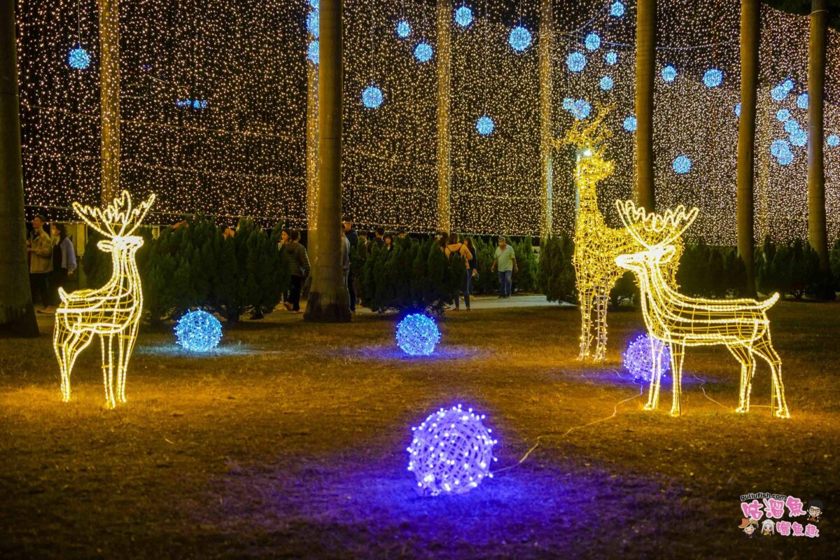 2023 高雄聖誕跨年嘉年華！中央公園聖誕佈置，20米高的聖誕樹「星空之樹」點亮夜空，感受聖誕氣氛之美