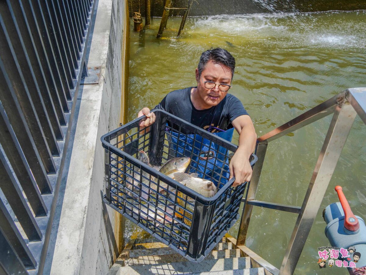 里長台灣鯛 美濃旗艦店 | 融入客家特色的創意料理「里長好客鍋」翻轉美濃料理！絕美適合親子的美濃必訪餐廳推薦