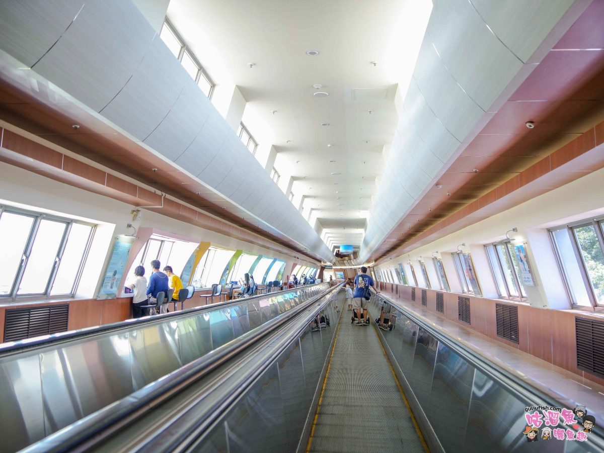 高雄國際機場(小港機場) 觀景台 | 免費室內親子景點，可近距離觀賞飛機，還有許多飛機模型可以參觀