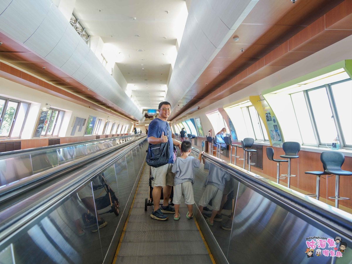 高雄國際機場(小港機場) 觀景台 | 免費室內親子景點，可近距離觀賞飛機，還有許多飛機模型可以參觀