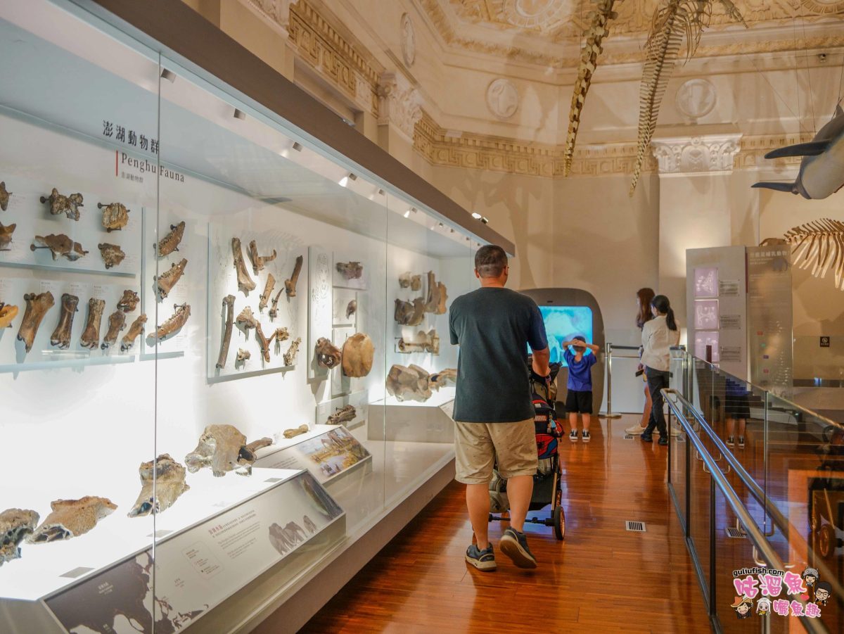 台北》國立台灣博物館 古生物館 (土銀展示館) | 銅板價30元暢玩兩館，探索神秘金庫及巨大孔龍化石