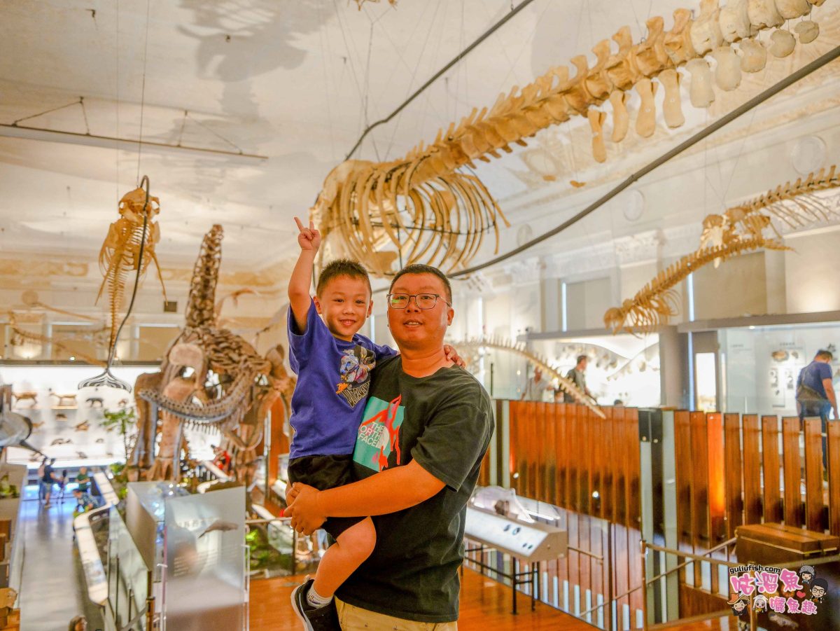 台北》國立台灣博物館 古生物館 (土銀展示館) | 銅板價30元暢玩兩館，探索神秘金庫及巨大孔龍化石