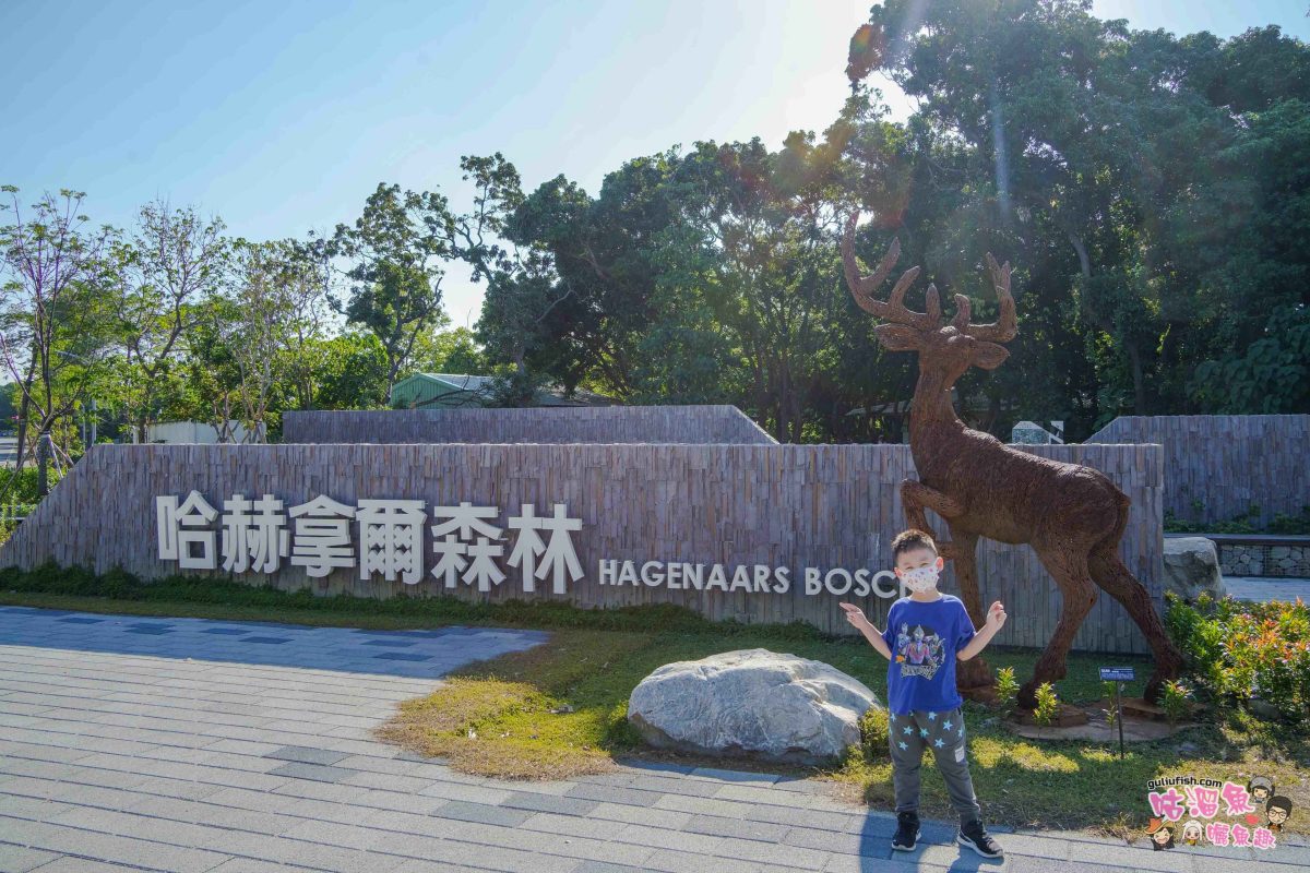 台南景點》哈赫拿爾森林 | 藏身市區的平地森林，水岸步道輕鬆愜意，還有親子遊戲場可以玩