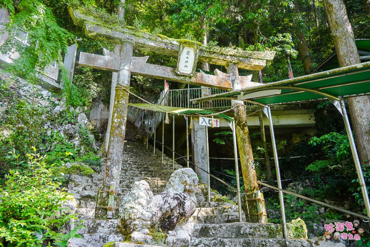 日本旅遊》高知景點一日遊 | 麗星郵輪探索星號岸上觀光行程，桂濱海灘/龍河洞 /坂本龍馬紀念館/弘人市場/帶屋町商店街