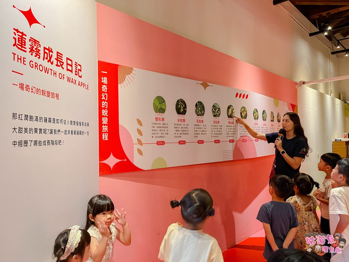 屏東景點》佳冬縣農會 透紅佳人夢想樂園 | 屏東新秘境！好玩蓮霧主題館，系列DIY體驗親子同樂、味蕾饗宴一次滿足！