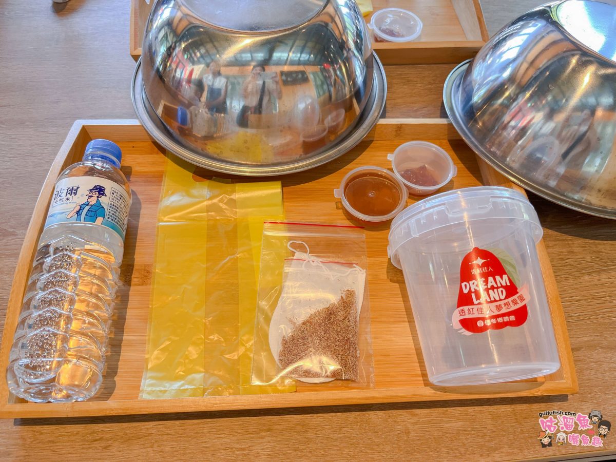 屏東景點》佳冬縣農會 透紅佳人夢想樂園 | 屏東新秘境！好玩蓮霧主題館，系列DIY體驗親子同樂、味蕾饗宴一次滿足！