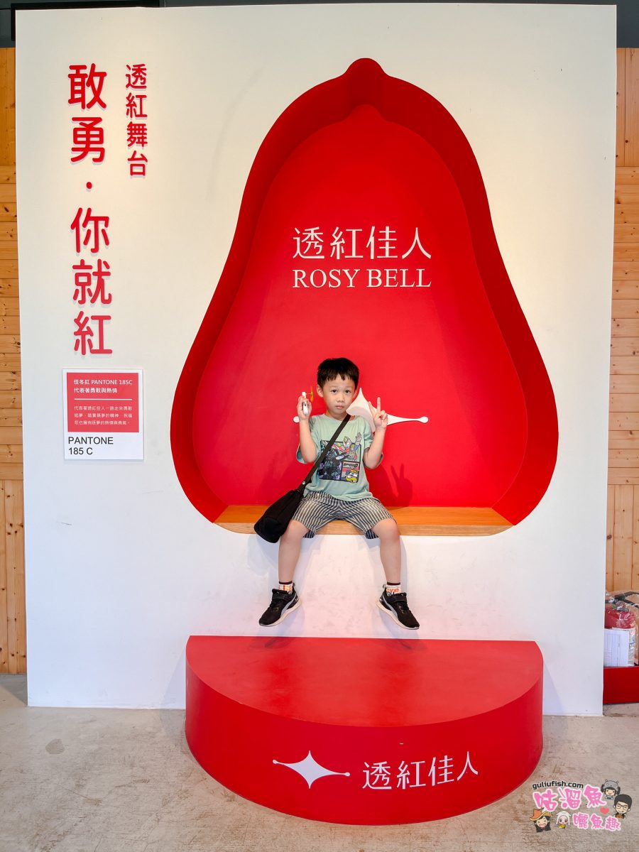 屏東景點》佳冬縣農會 透紅佳人夢想樂園 | 屏東新秘境！好玩蓮霧主題館，系列DIY體驗親子同樂、味蕾饗宴一次滿足！