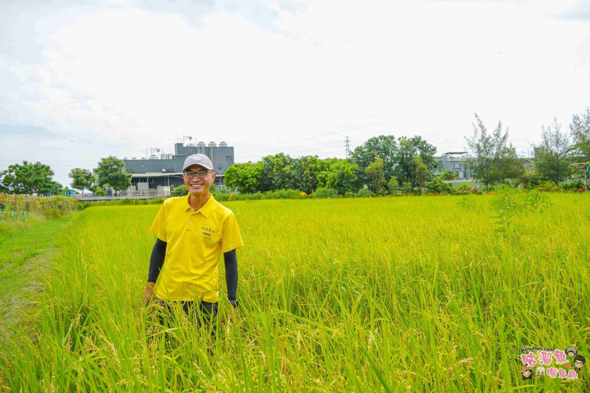 高雄秘境景點》隱藏版鄉村魅力！梓官赤西社區深度慢旅，跟著達人探尋文化地圖，品嚐在地海味，玩轉特色DIY！