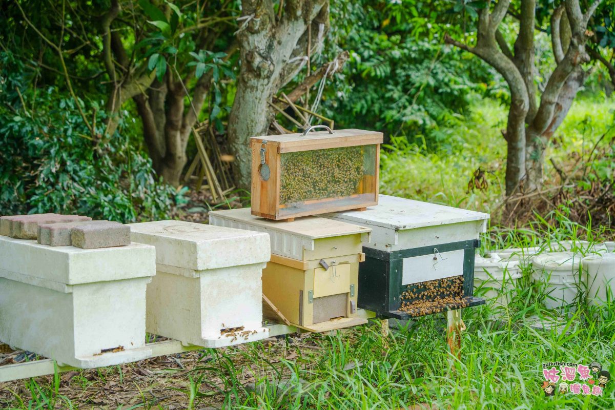 高雄秘境景點》隱藏版鄉村魅力！梓官赤西社區深度慢旅，跟著達人探尋文化地圖，品嚐在地海味，玩轉特色DIY！
