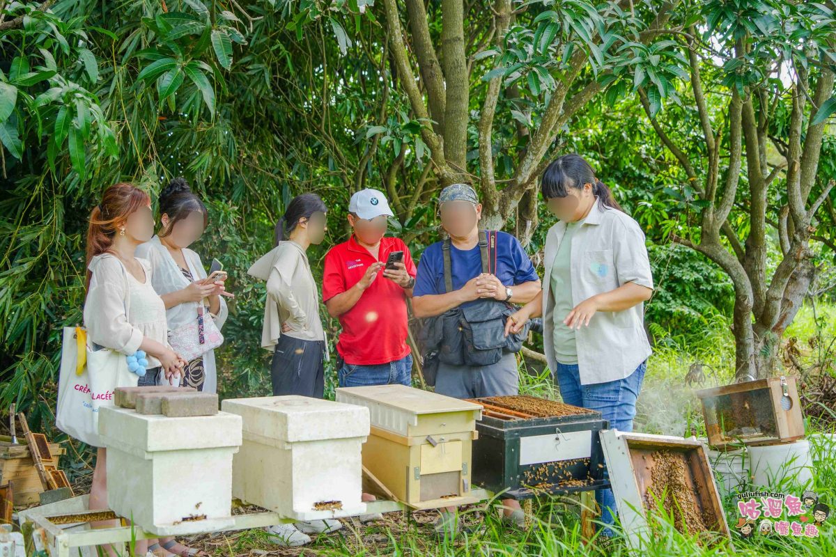 高雄秘境景點》隱藏版鄉村魅力！梓官赤西社區深度慢旅，跟著達人探尋文化地圖，品嚐在地海味，玩轉特色DIY！