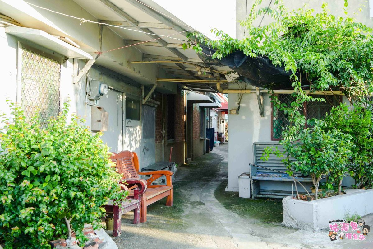 高雄秘境景點》隱藏版鄉村魅力！梓官赤西社區深度慢旅，跟著達人探尋文化地圖，品嚐在地海味，玩轉特色DIY！