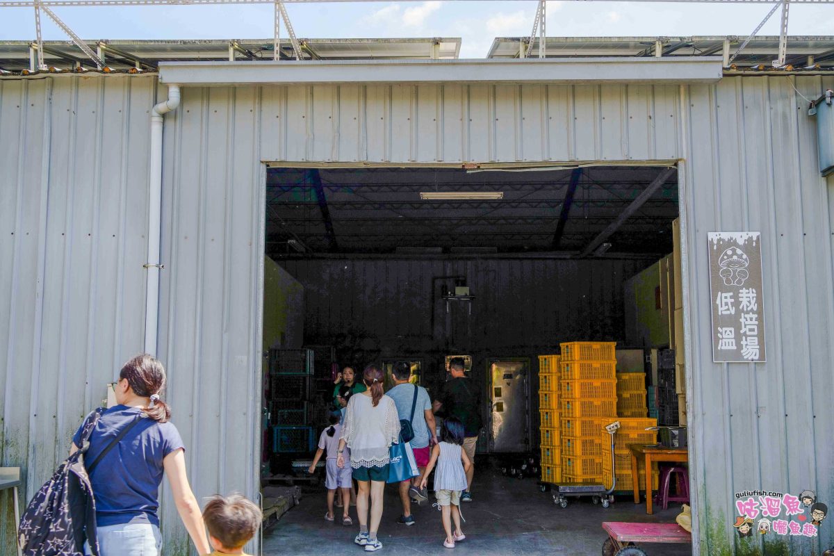 南投親子景點》豐年靈芝菇類生態農場 | 菇菇彩繪、生態瓶、PIZZA手作，讓孩子愛上大自然的寓教於樂的菇菇農場探險