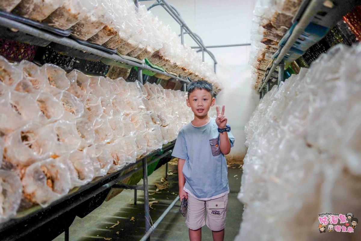 南投親子景點》豐年靈芝菇類生態農場 | 菇菇彩繪、生態瓶、PIZZA手作，讓孩子愛上大自然的寓教於樂的菇菇農場探險
