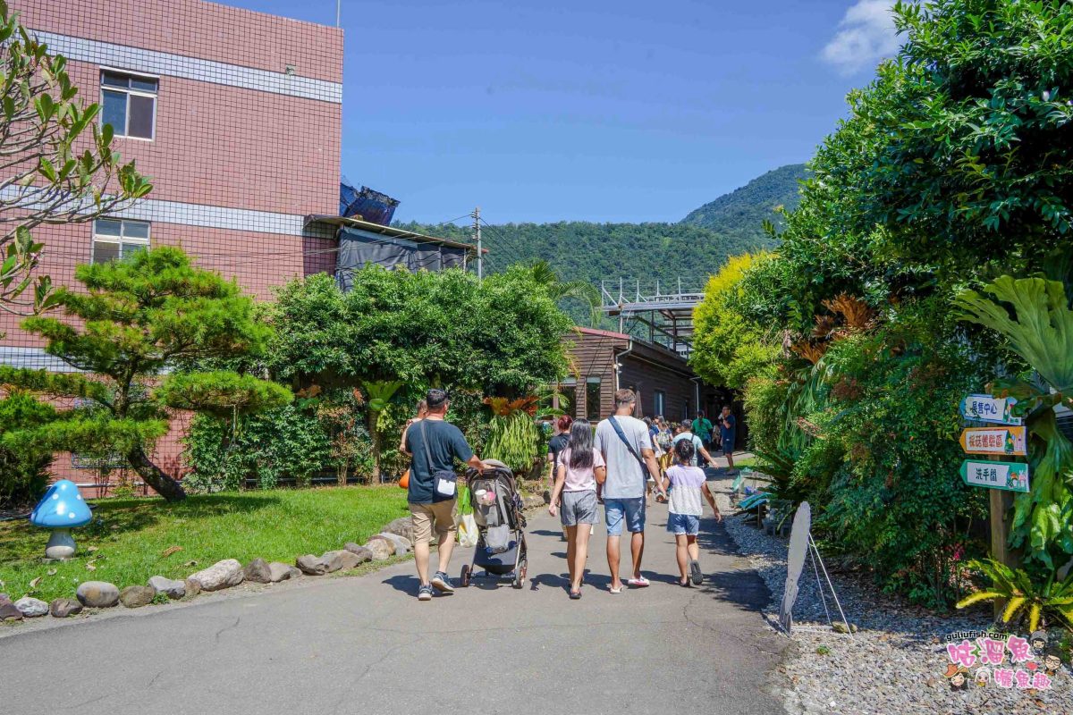 南投親子景點》豐年靈芝菇類生態農場 | 菇菇彩繪、生態瓶、PIZZA手作，讓孩子愛上大自然的寓教於樂的菇菇農場探險
