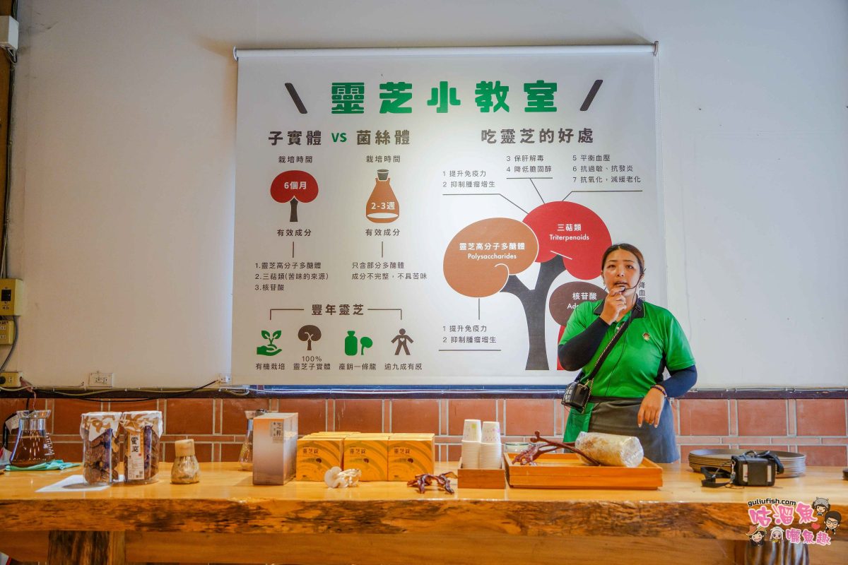 南投親子景點》豐年靈芝菇類生態農場 | 菇菇彩繪、生態瓶、PIZZA手作，讓孩子愛上大自然的寓教於樂的菇菇農場探險