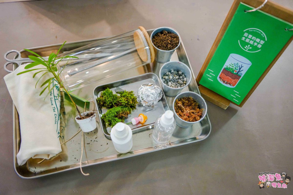 南投親子景點》豐年靈芝菇類生態農場 | 菇菇彩繪、生態瓶、PIZZA手作，讓孩子愛上大自然的寓教於樂的菇菇農場探險