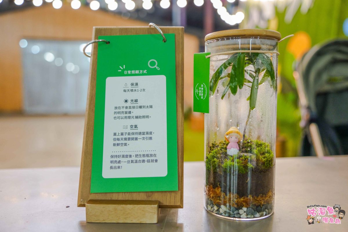 南投親子景點》豐年靈芝菇類生態農場 | 菇菇彩繪、生態瓶、PIZZA手作，讓孩子愛上大自然的寓教於樂的菇菇農場探險