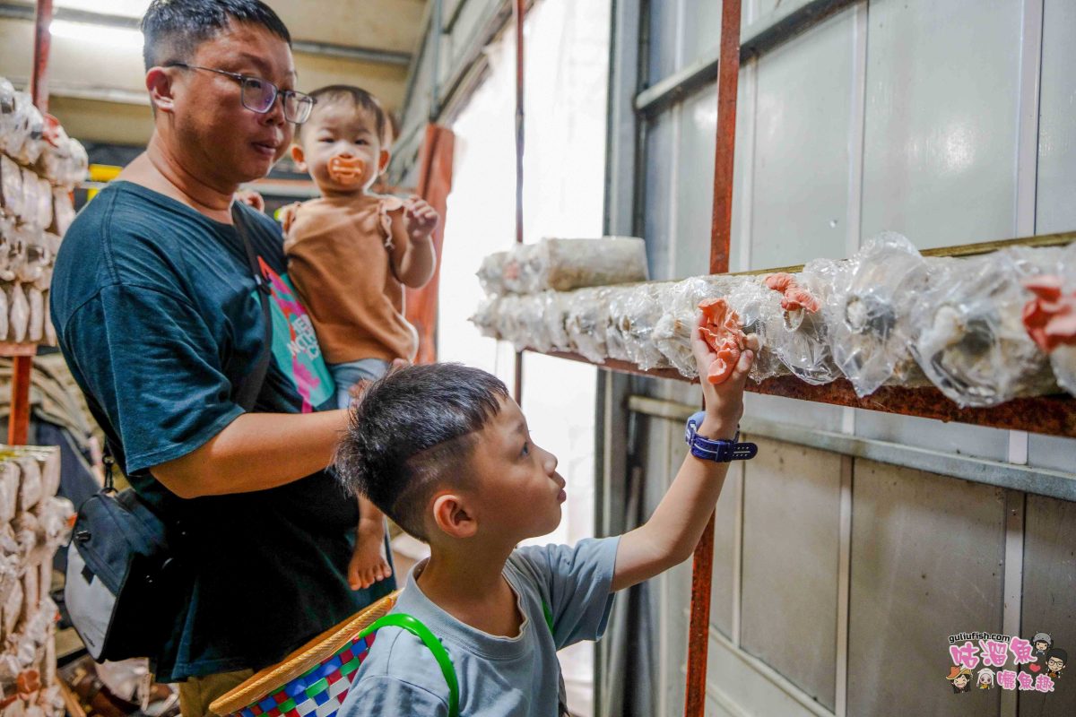 南投親子景點》豐年靈芝菇類生態農場 | 菇菇彩繪、生態瓶、PIZZA手作，讓孩子愛上大自然的寓教於樂的菇菇農場探險