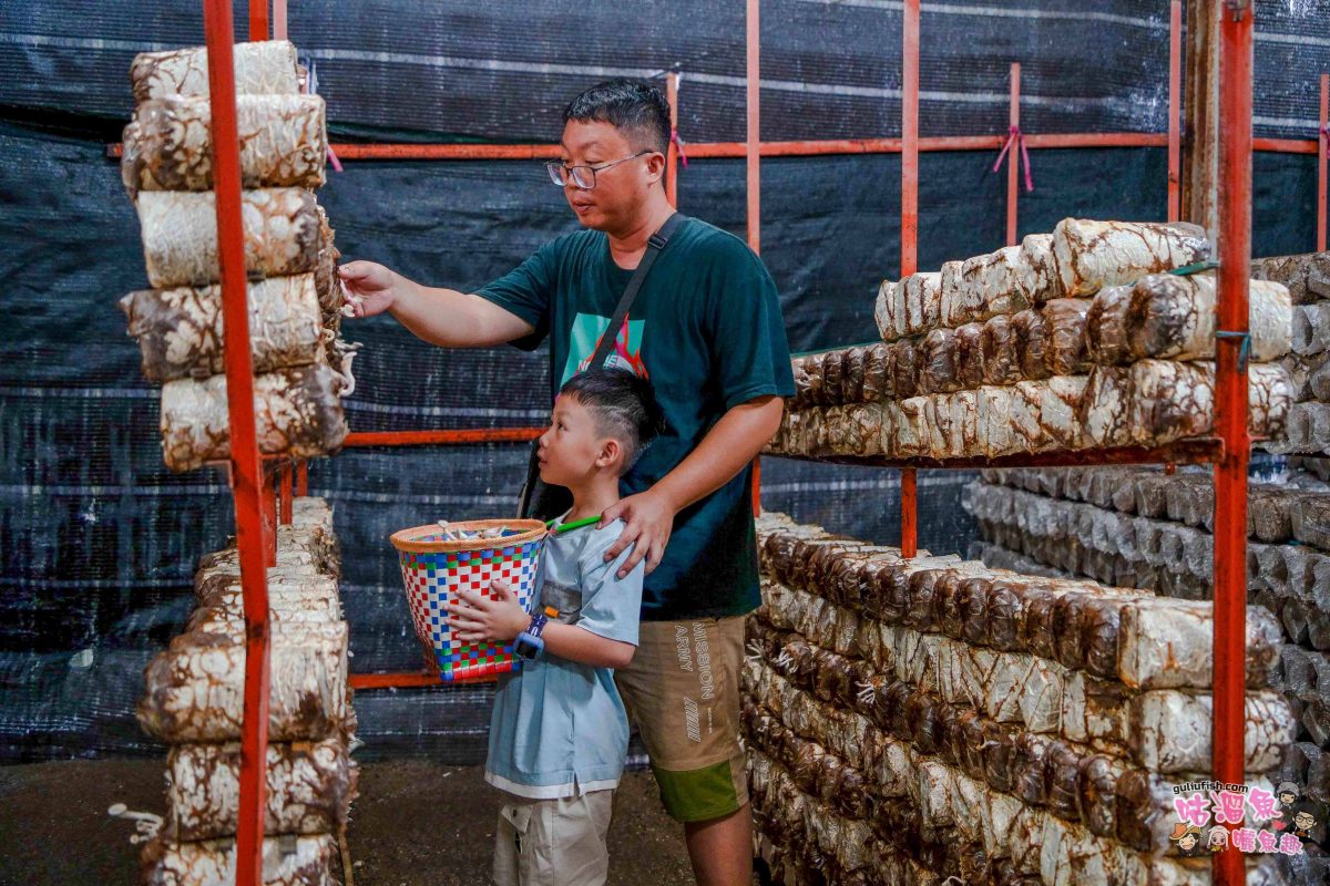 南投親子景點》豐年靈芝菇類生態農場 | 菇菇彩繪、生態瓶、PIZZA手作，讓孩子愛上大自然的寓教於樂的菇菇農場探險