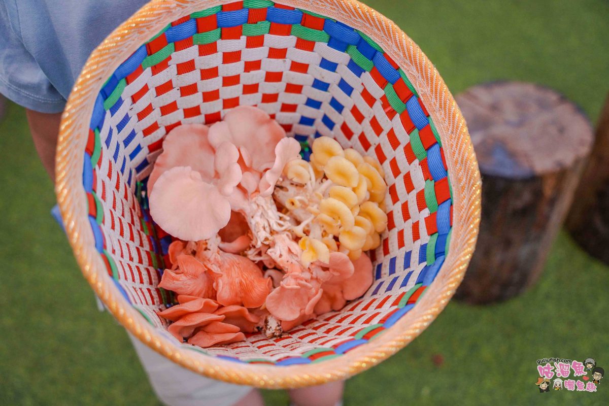 南投親子景點》豐年靈芝菇類生態農場 | 菇菇彩繪、生態瓶、PIZZA手作，讓孩子愛上大自然的寓教於樂的菇菇農場探險