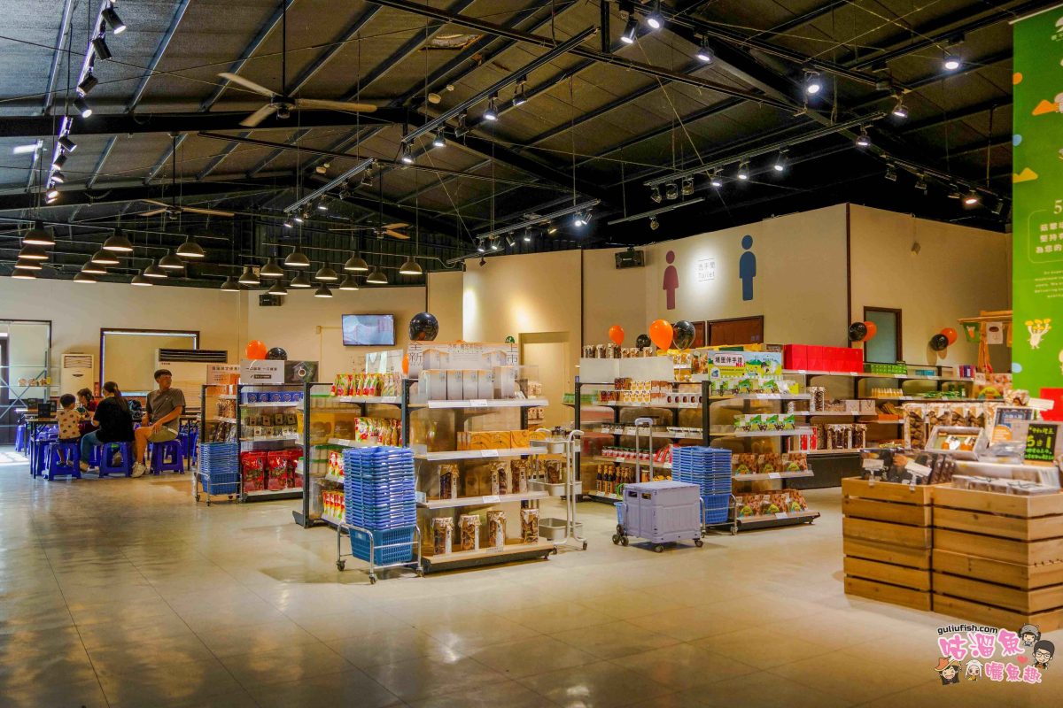 南投親子景點》豐年靈芝菇類生態農場 | 菇菇彩繪、生態瓶、PIZZA手作，讓孩子愛上大自然的寓教於樂的菇菇農場探險