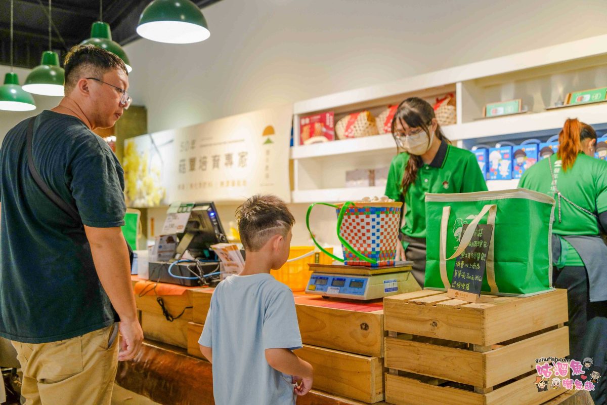 南投親子景點》豐年靈芝菇類生態農場 | 菇菇彩繪、生態瓶、PIZZA手作，讓孩子愛上大自然的寓教於樂的菇菇農場探險